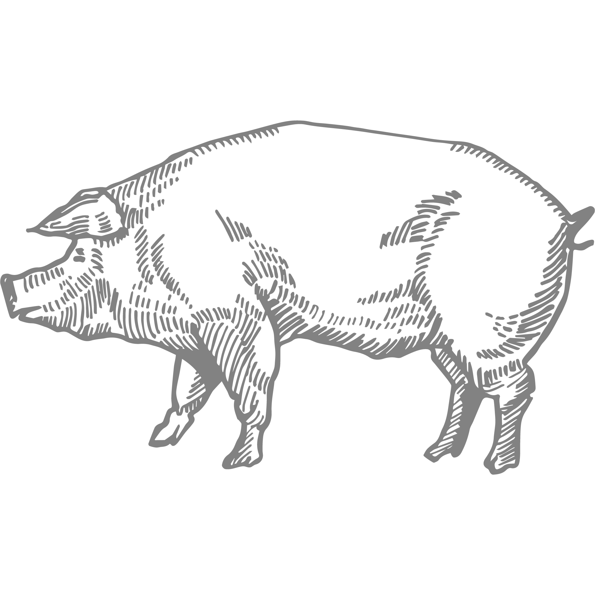 Porc Duroc i Ibèric Casa Moreno | Carnisseria Xarcuteria a Mataró